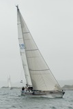 grampus z1226 whw09 rmc 3986